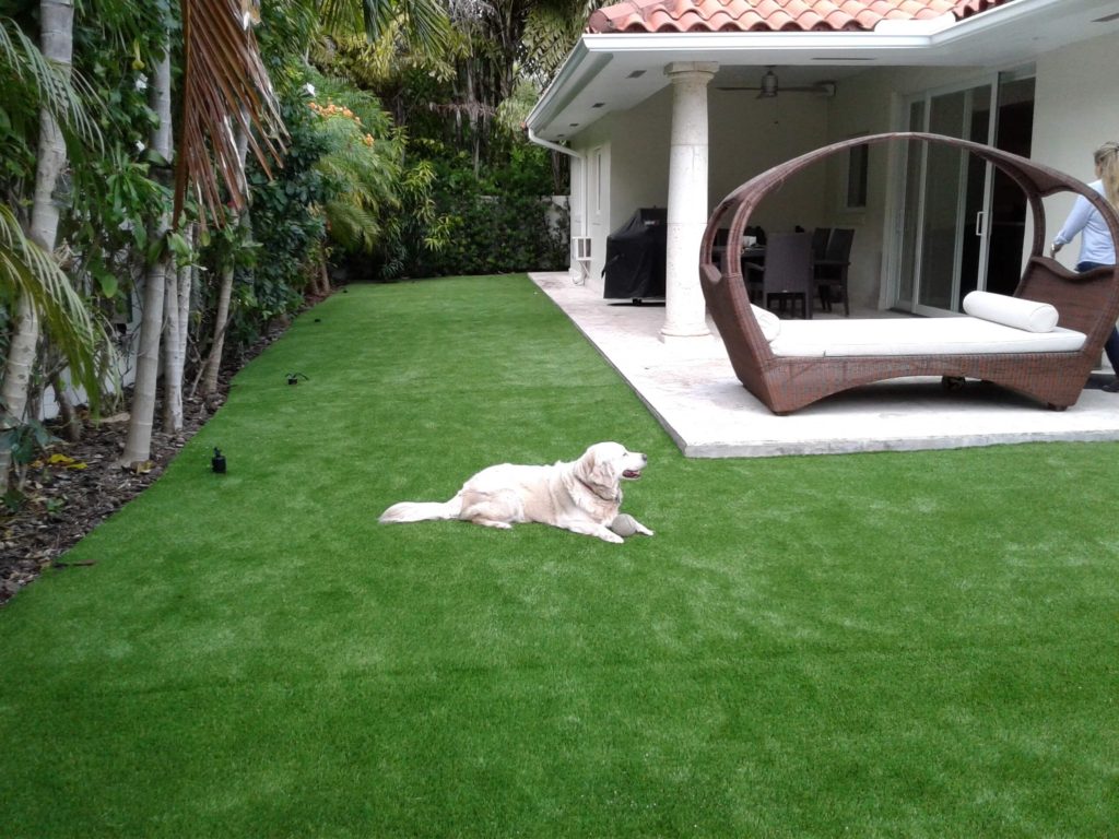 Artificial Grass 